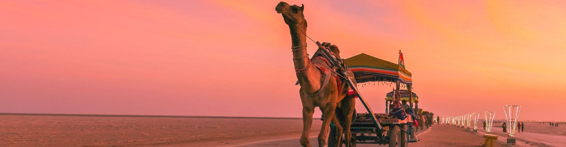 Top 10 Gujarat Holiday Packages for 2025 | Budget & Luxury Tours