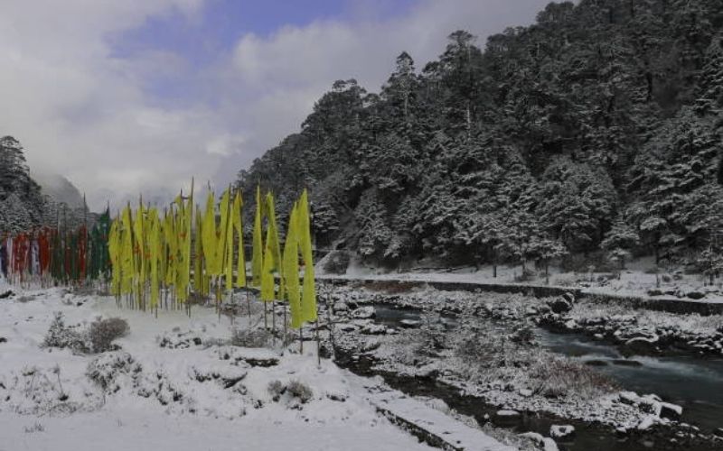 Whispers of the Himalayas: North Sikkim Tour