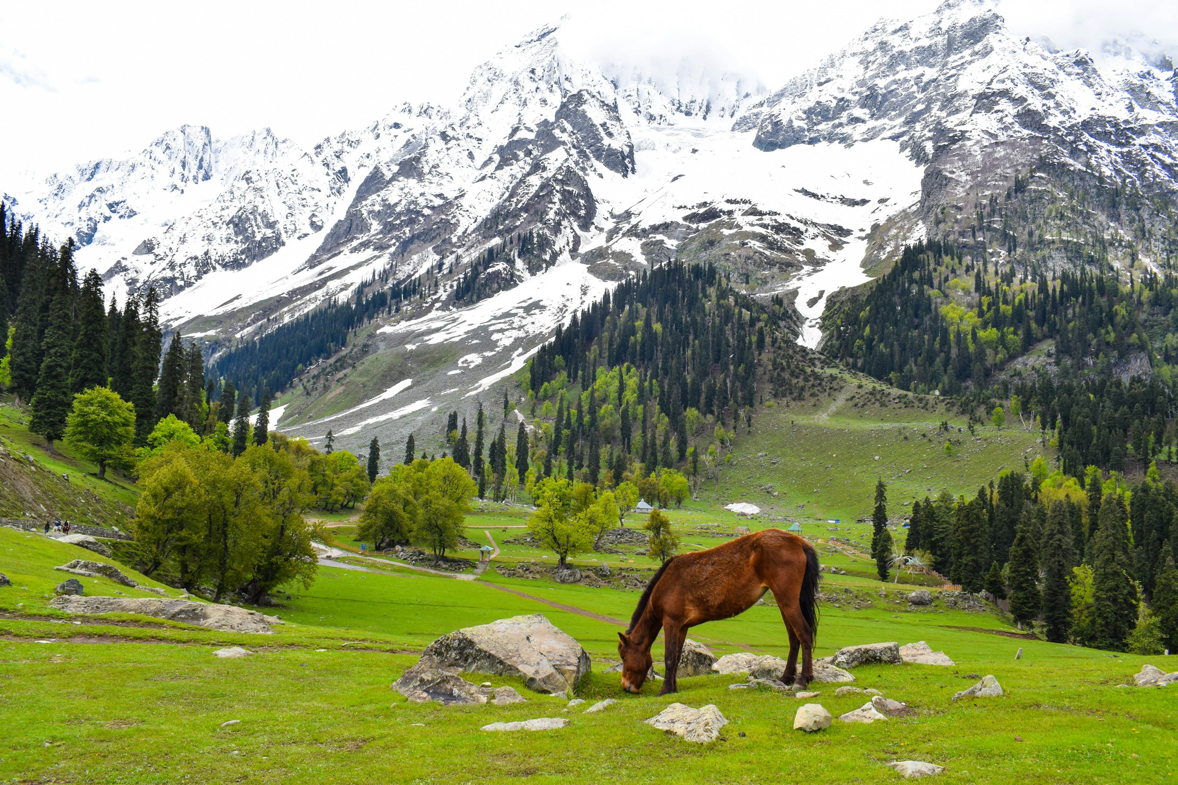 Discover the Beauty of Kashmir