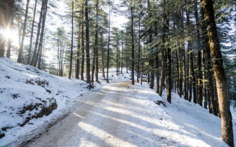 Hills & Harmony: Manali–Chandigarh Tour