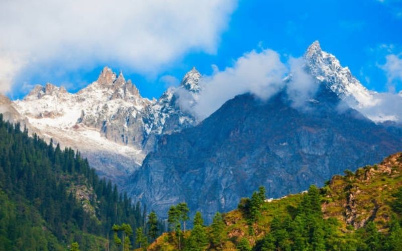 Snow Trails & Scenic Tales