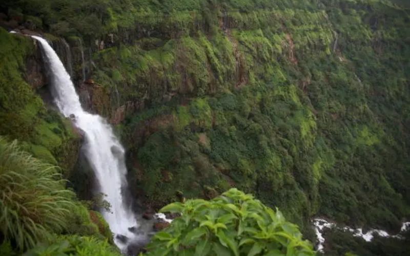 Misty Meadows of Mahabaleshwar