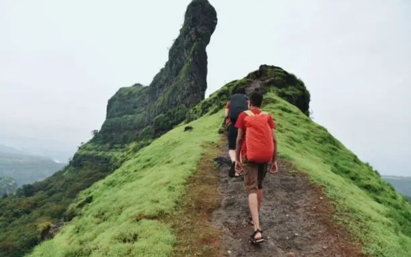 Monsoon Magic in the Sahyadris