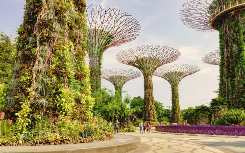 The Lion City