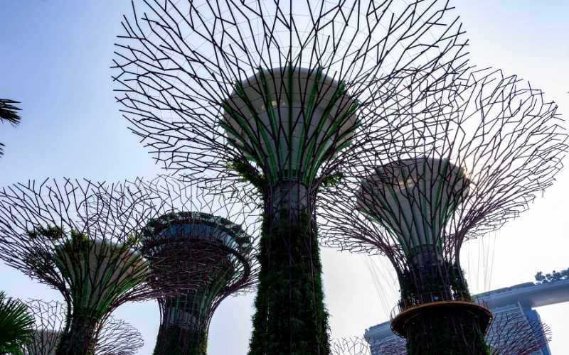 The Lion City