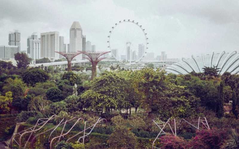 Singapore Highlights: The Lion City Discovery Tour