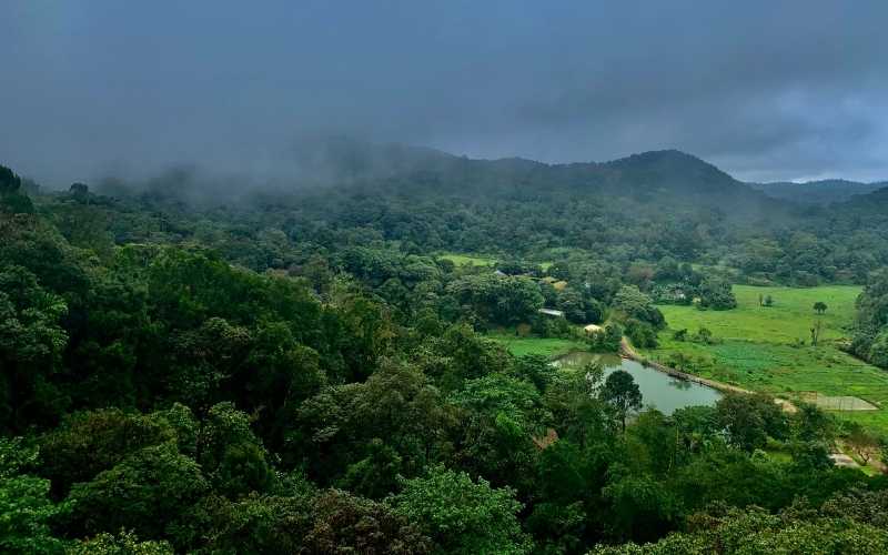 Majestic Coorg