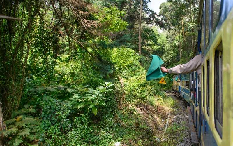 Mysore & Ooty Escape