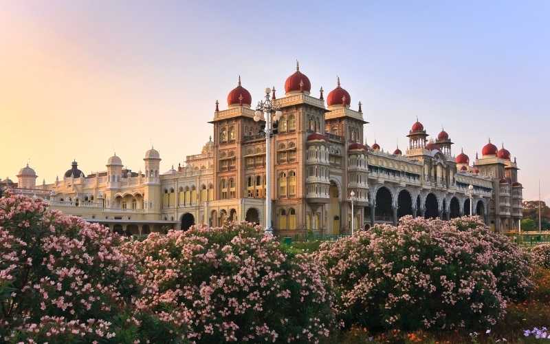 South India Highland Discovery Tour