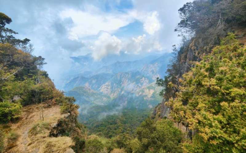 South India Highland Discovery Tour