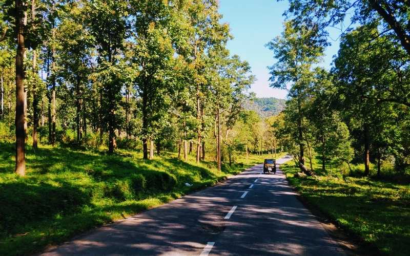 Wayanad Wonders