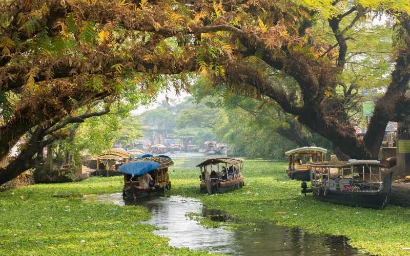 Essence of Kerala: From Coast to Canals