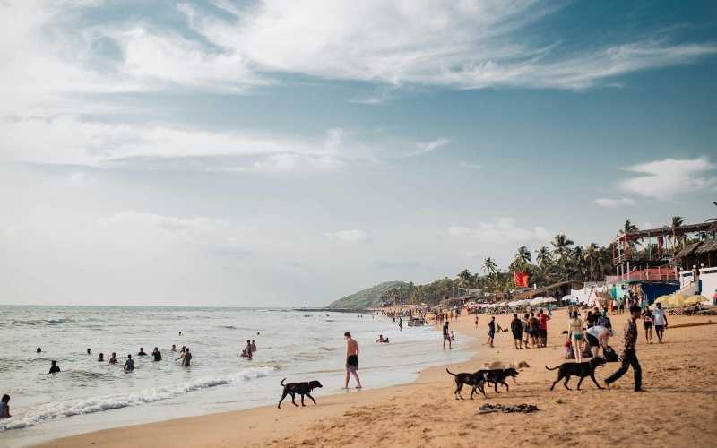 Beaches, Waterfalls & Beyond