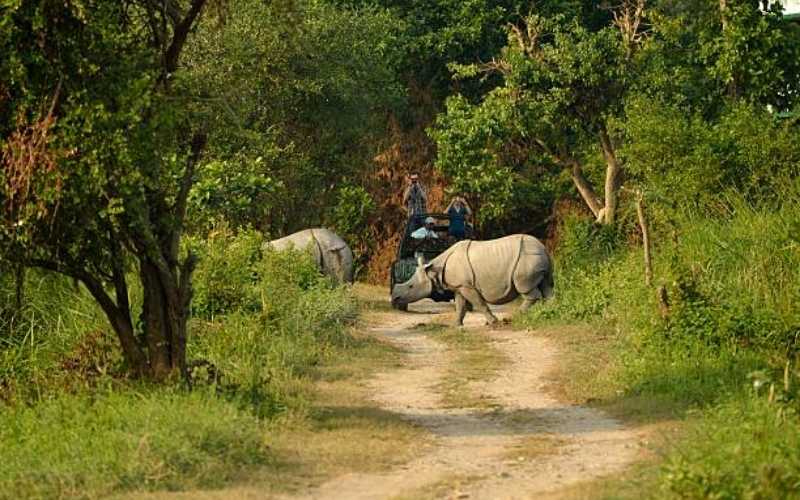 Kaziranga Trails & Guwahati Temples