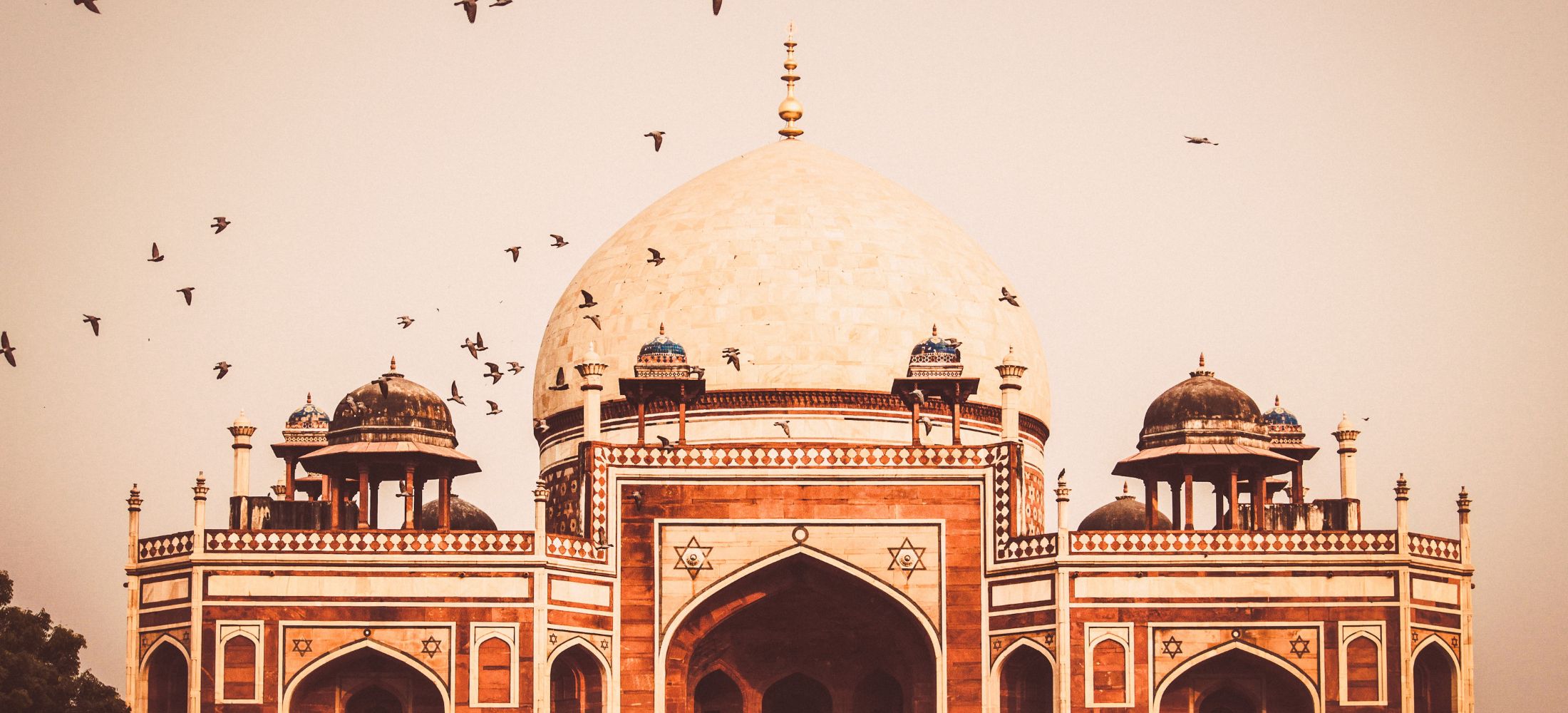 Delightful Delhi