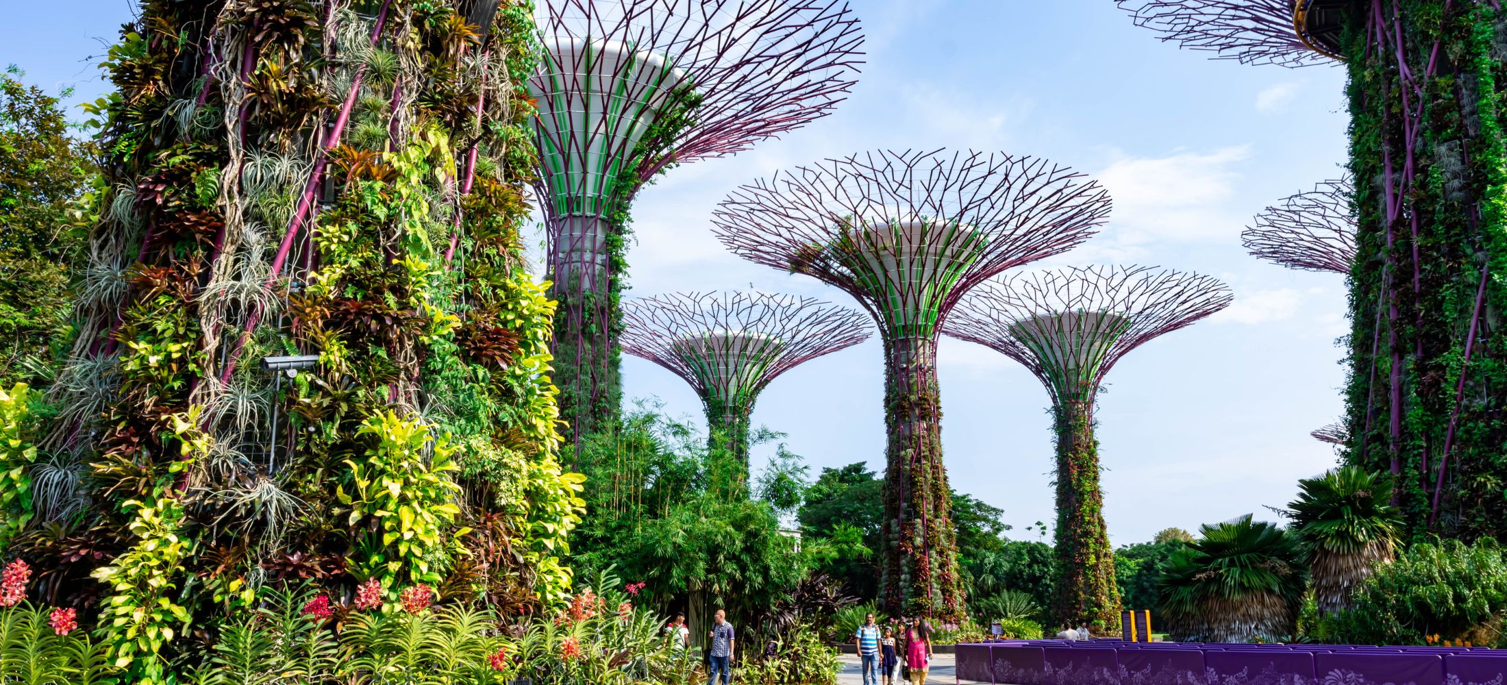 The Lion City