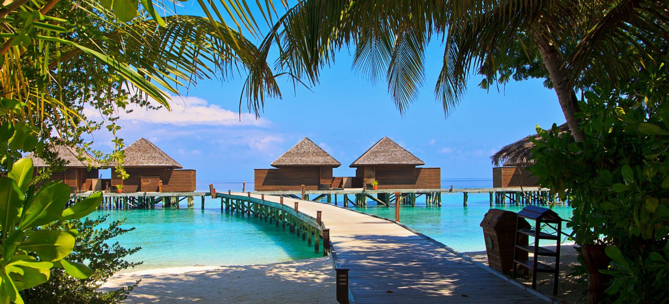 Maldives Magic: Overwater Dreams & Island Bliss