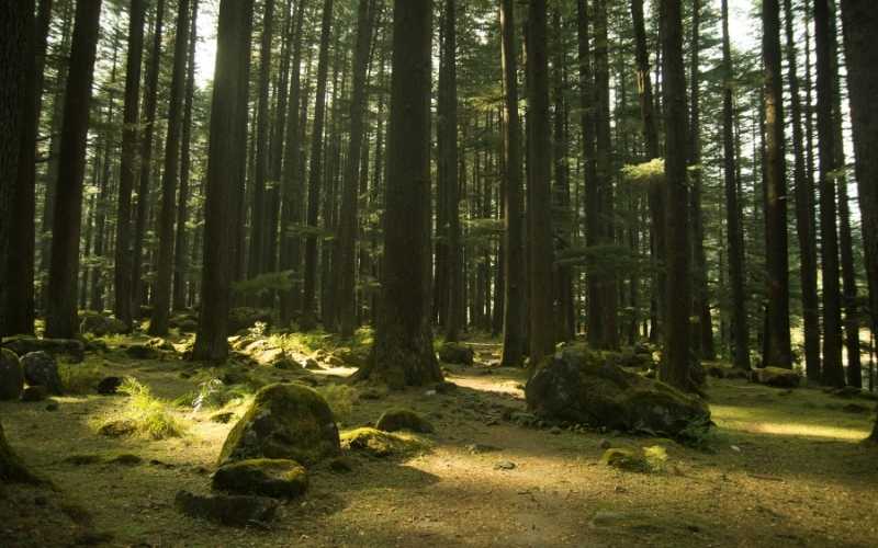 Manali Volvo Tour