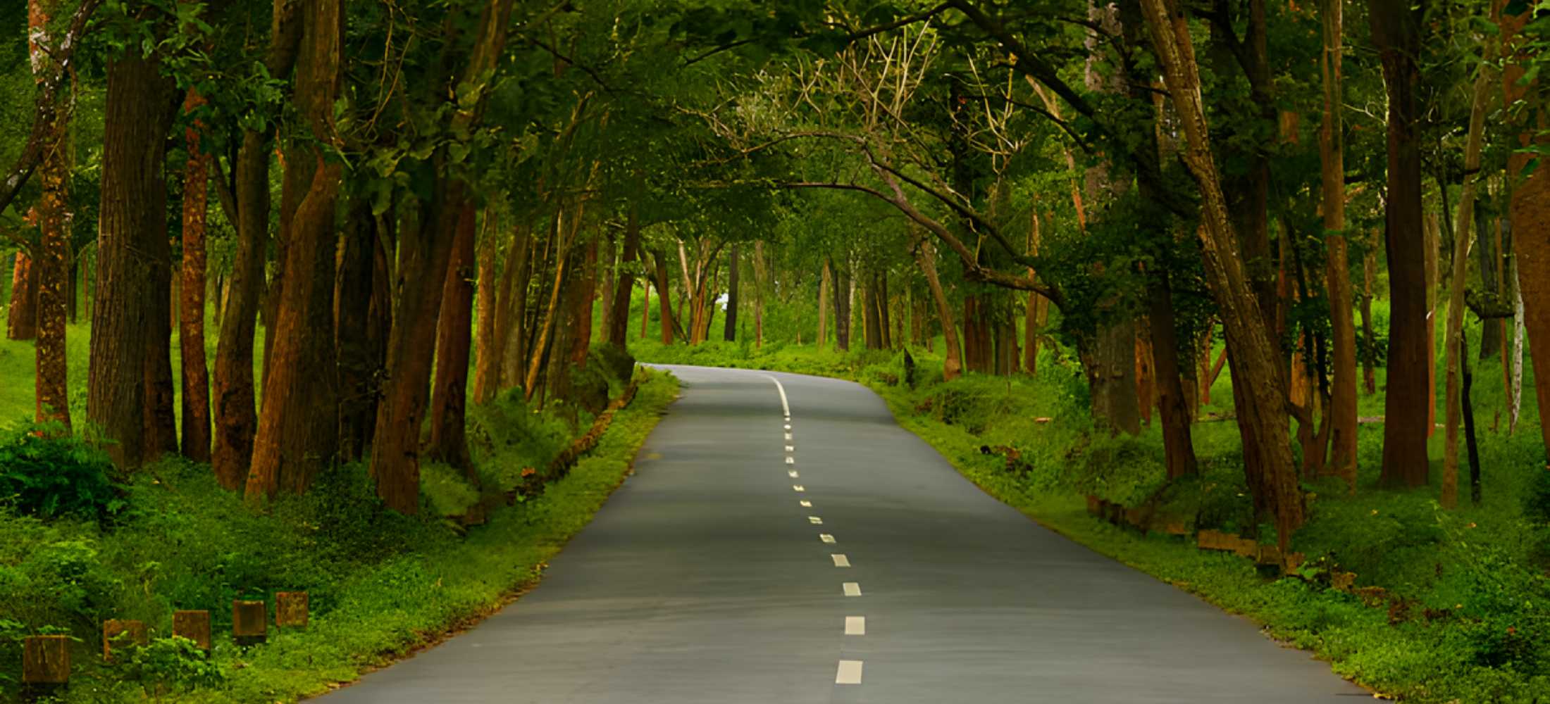 Karnataka Heritage & Wildlife Tour