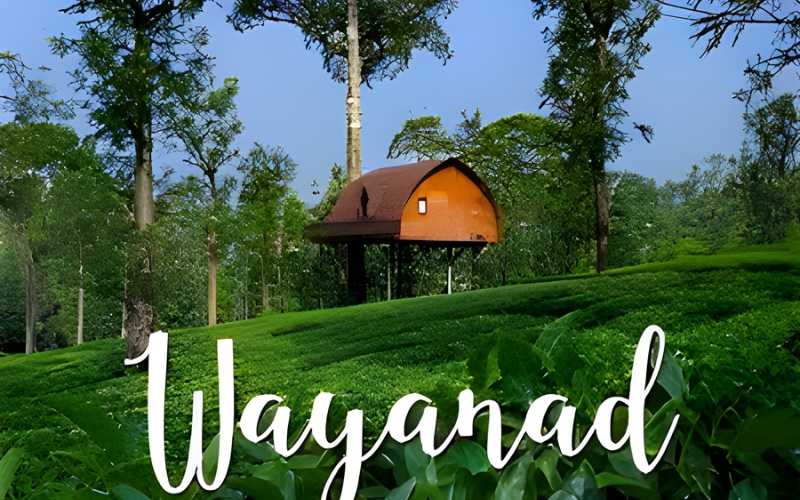 Ooty & Wayanad Holiday